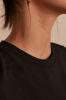Picture of DANIS